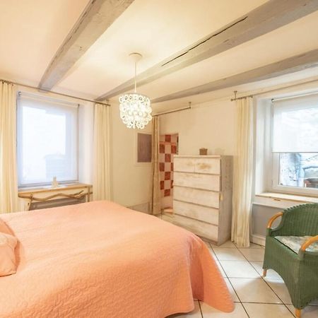 Apartment Classified 3 Stars Located In The Heart Of The Old Town Annecy Esterno foto